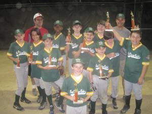 sports team pictures: flash in the pan