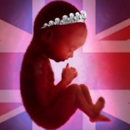 royal fetus on twitter funny parody feeds