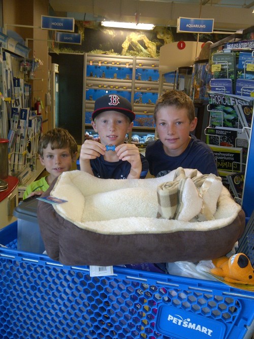 1st trip (of many) to Petsmart for new puppy on carpoolcandy.com