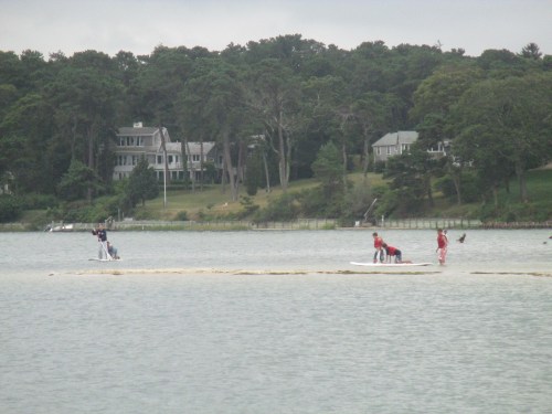 Paddleboarding on Tashmoo Pond, near Vineyard Haven, Martha's Vineyard on carpoolcandy.com