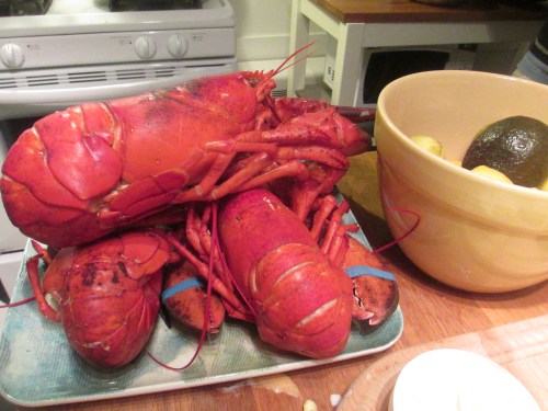 Best lobster seafood / best food Martha's Vineyard on carpoolcandy.com