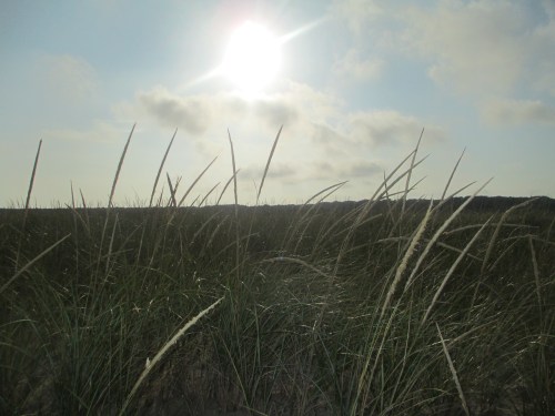 Chappaquiddick, Martha's Vineyard on carpoolcandy.com