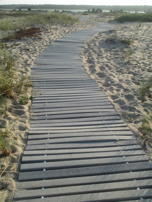 Beach path in Chappaquiddick, Martha's Vineyard on carpoolcandy.com
