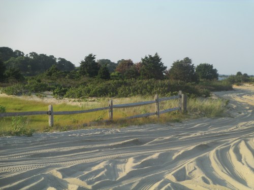 Road to Chappaquiddick beach, Martha's Vineyard on carpoolcandy.com