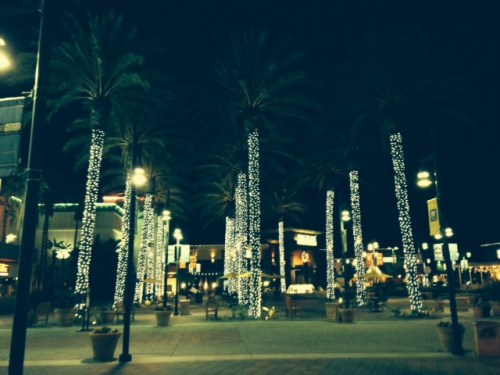 CA holiday lights on palm trees on carpoolcandy.com