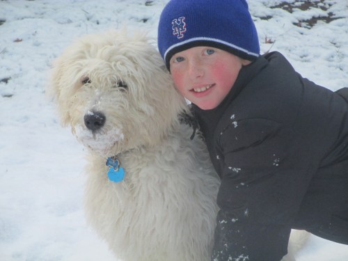 Puppy and boy play in snow on carpoolcandy.com