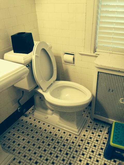 kids bathroom on carpool candy.com