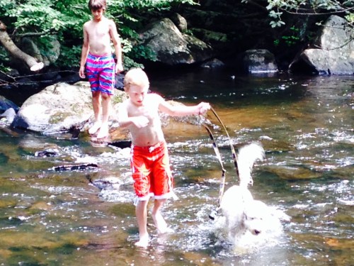 boys hiking on carpoolcandy.com