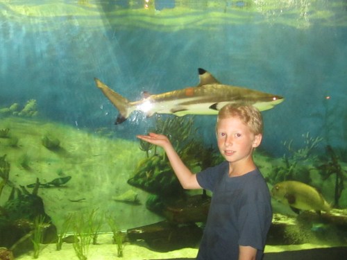 Jenkinson's Aquarium, Point Pleasant, NJ on carpoolcandy.com