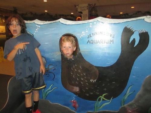 Jenkinson's Aquarium, Point Pleasant, NJ on carpoolcandy.com