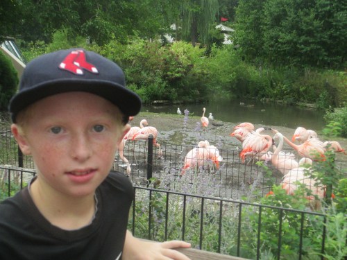 Lincoln Park Zoo in Chicago on carpoolcandy.com