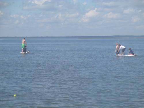 Paddle boarding on LBI on carpoolcandy.com