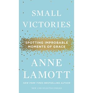 small victories by anne lamott jacket on carpoolcandy.com