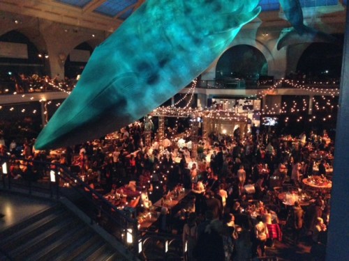 hbo girls season 4 premiere party ticket on carpoolcandy.com