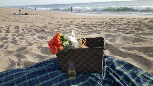 Uncle Adam gets engaged on beach in Malibu on carpoolcandy.com