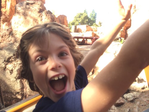 California Thanksgiving Disneyland on carpoolcandy.com