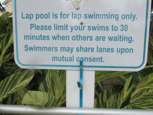 Florida gated community grandparents visit on carpoolcandy.com